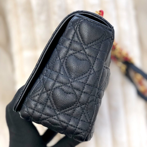 Dior Caro Medium