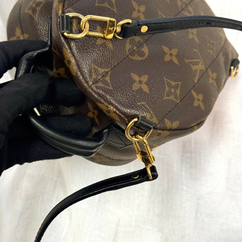 LV Palm Spring Mini Backpack