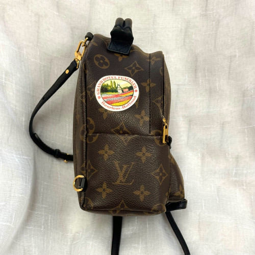 LV Palm Spring Mini Backpack