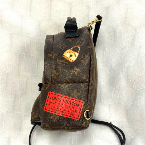 LV Palm Spring Mini Backpack