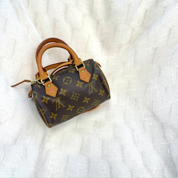 LV Speedy nano