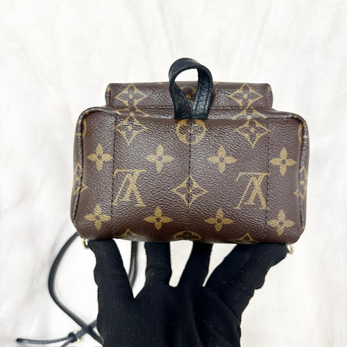 LV Palm Spring Mini Backpack