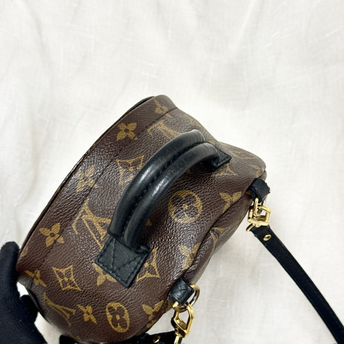 LV Palm Spring Mini Backpack