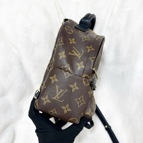 LV Palm Spring Mini Backpack