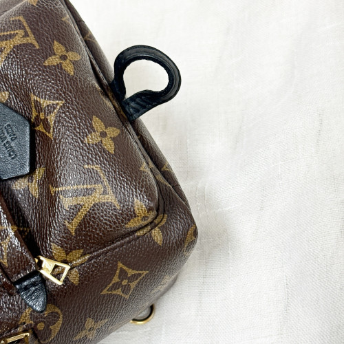 LV Palm Spring Mini Backpack