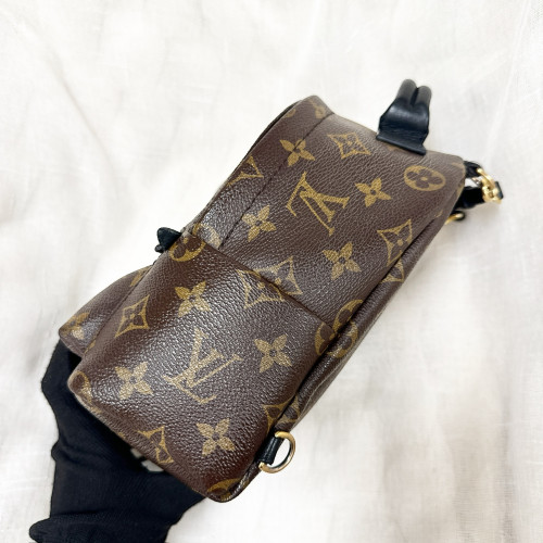 LV Palm Spring Mini Backpack