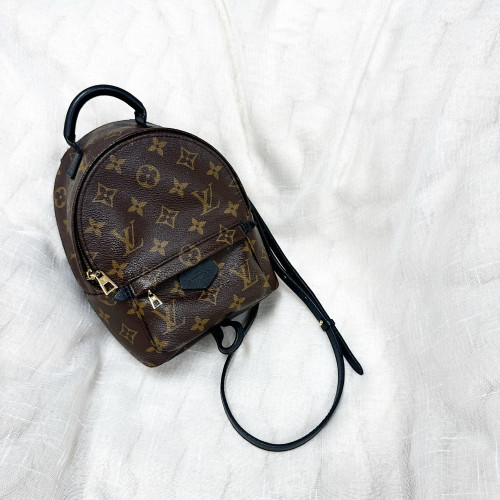 LV Palm Spring Mini Backpack