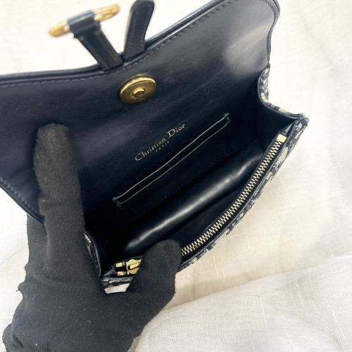 Dior Saddle Pouch