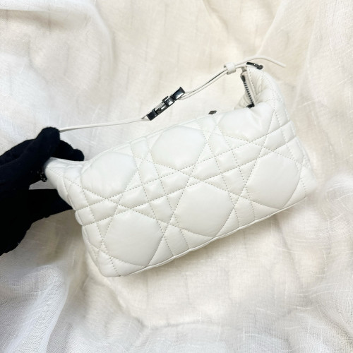 Dior Diortravel Nomad Pouch