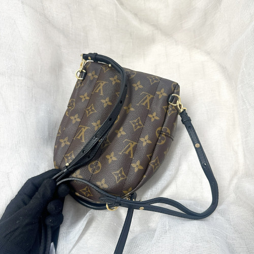 LV Palm Springs Mini Backpack