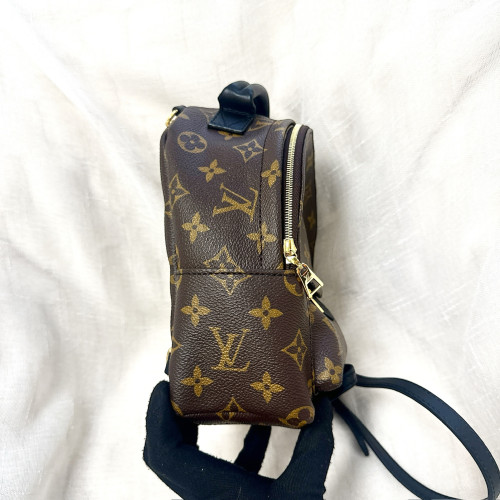 LV Palm Springs Mini Backpack