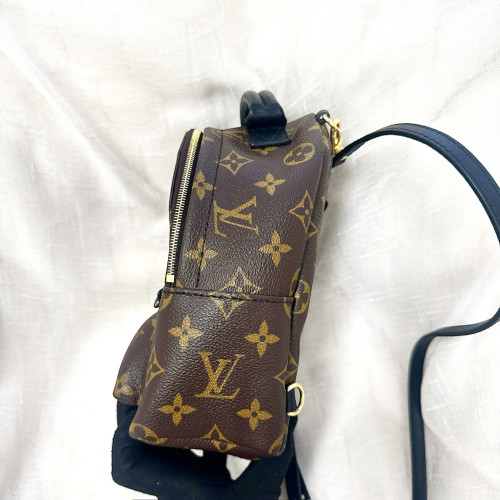 LV Palm Springs Mini Backpack