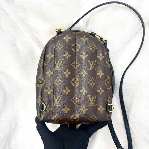 LV Palm Springs Mini Backpack