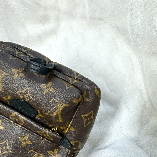 LV Palm Springs Mini Backpack