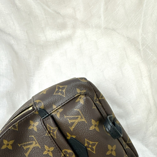 LV Palm Springs Mini Backpack