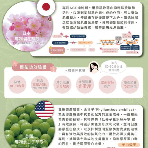 Pocina Mealtrix 美顏代餐 茉香綠茶鐵觀音味